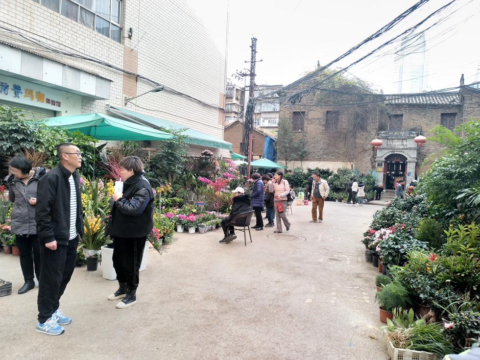 景星街花鸟市场.jpg