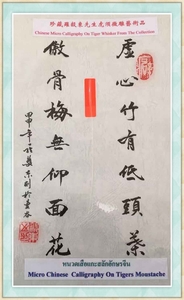 罗 毅 东